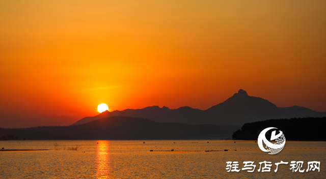 泌陽縣：魚躍人歡冬捕忙 喜迎新春好&ldquo;豐&rdquo;景