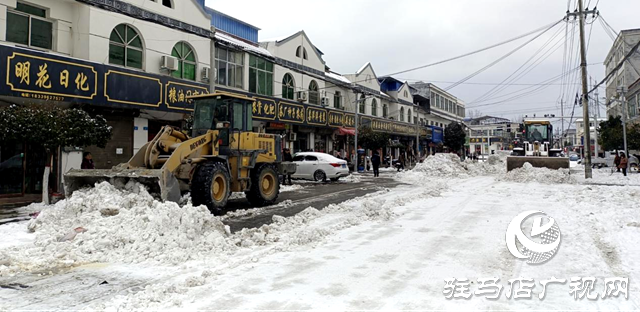 泌陽縣下碑寺鄉開展雨雪冰凍天氣防范應對工作