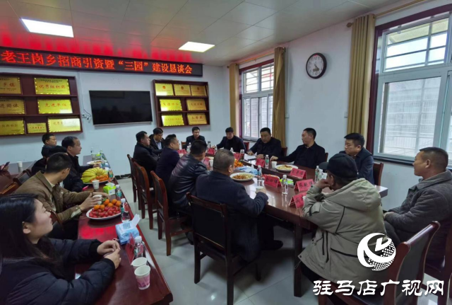 平輿縣：組建黨建人才庫 招商引資有了&ldquo;紅色牽線人&rdquo;