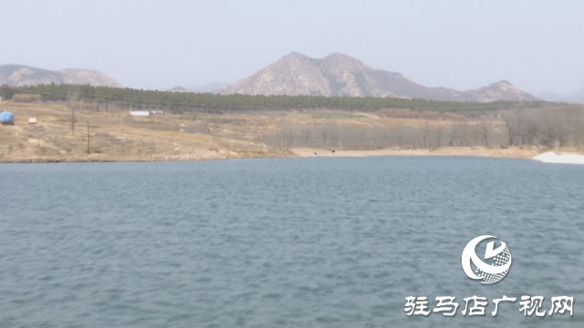 泌陽縣下碑寺鄉：以項目建設促進全鄉經濟社會高質量發展