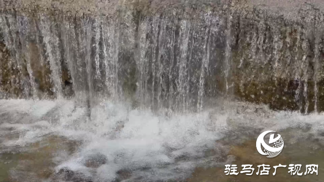 泌陽縣下碑寺鄉：以項目建設促進全鄉經濟社會高質量發展