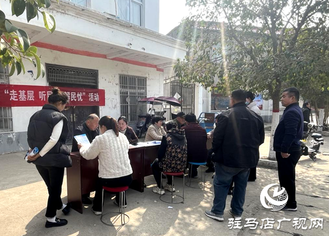 汝南縣王崗鎮：人大代表走基層 履職盡責解民憂