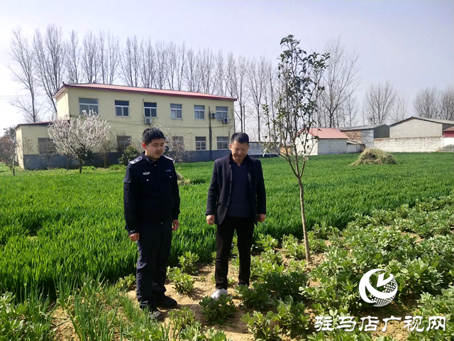 汝南縣金鋪鎮開展罌粟排查 合力鏟除&ldquo;惡之花&rdquo;行動