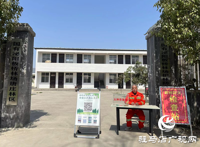 國有泌陽板橋林場：全力織密筑牢森林&ldquo;防火墻&rdquo;