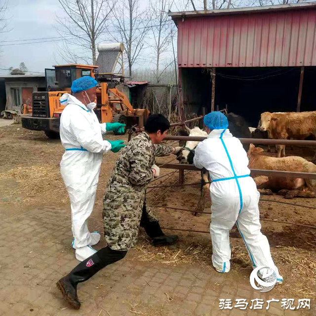 汝南縣板店鄉：打好&ldquo;監督牌&rdquo;助推畜牧養殖業健康發展