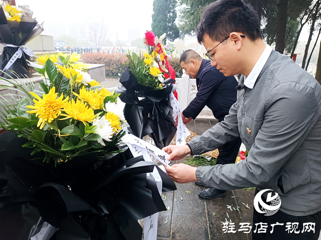 汝南縣王崗鎮：開展&ldquo;緬懷革命先烈 賡續紅色血脈&rdquo;清明祭掃活動