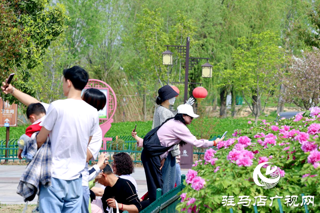 清明假期，汝南縣文旅市場(chǎng)&ldquo;多點(diǎn)開花&rdquo;