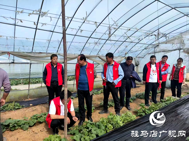 泌陽縣：用好科技之力激活鄉村振興&ldquo;智力引擎&rdquo;