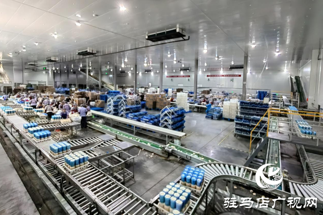 泌陽縣：繪制精準&ldquo;招商地圖&rdquo; 賦能產業發展