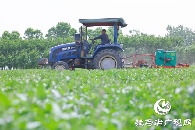 汝南縣：春暖農事忙