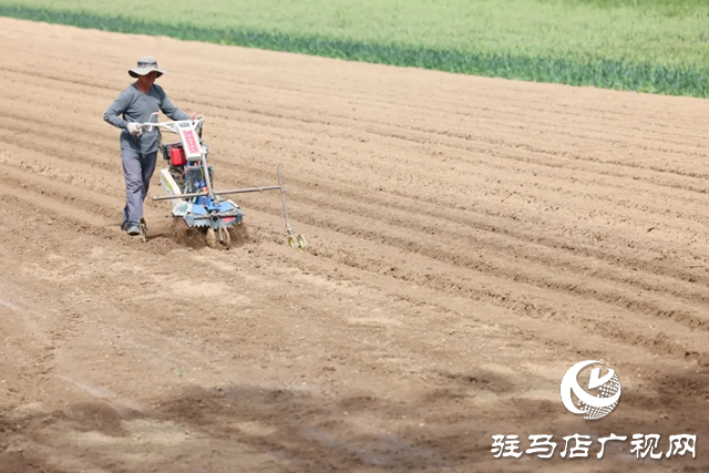 汝南縣：春暖農事忙