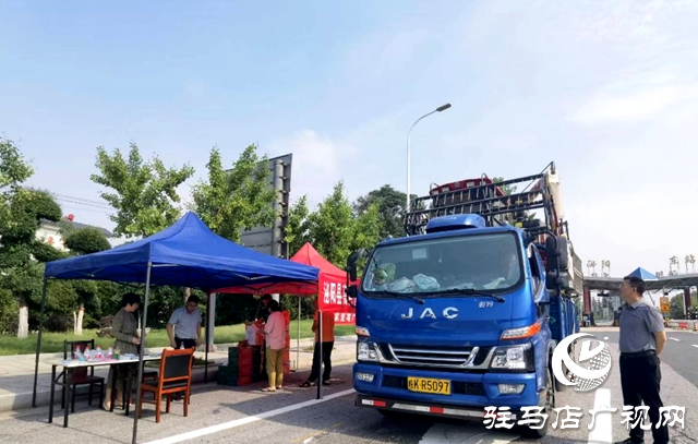 泌陽縣高邑鎮：靠前服務護麥香，不誤農時助豐收