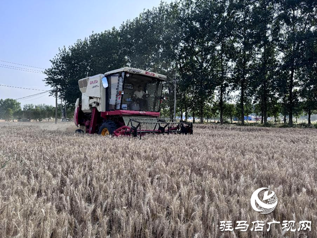 汝南縣張樓鎮(zhèn)：&ldquo;氣象農(nóng)事通&rdquo;小程序?yàn)橄氖毡ｑ{護(hù)航