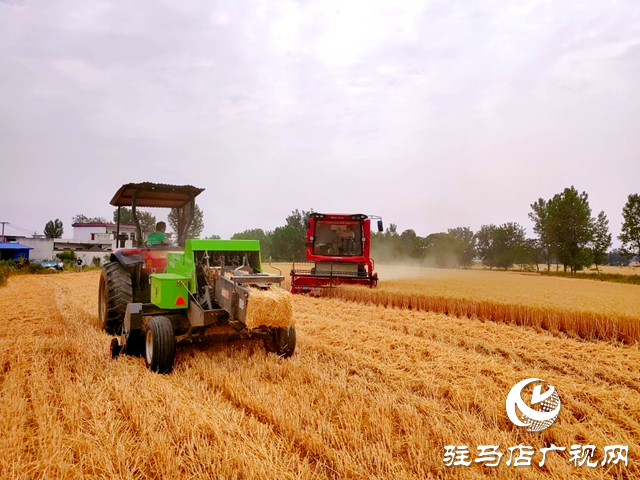 泌陽縣：&ldquo;田保姆&rdquo;讓農民種地增收又省心