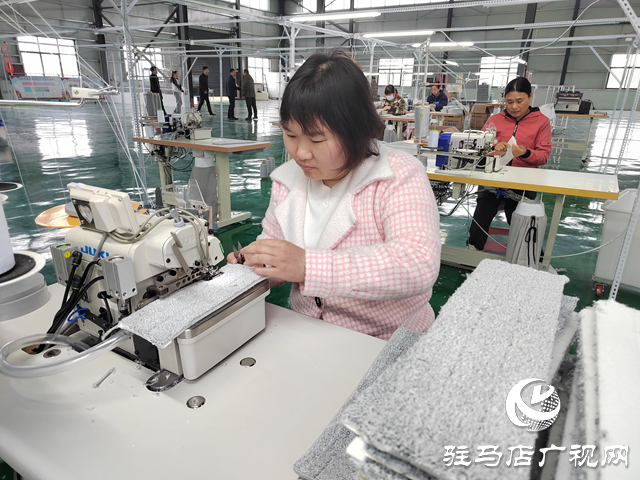 泌陽縣雙廟街鄉：加快推進鄉村振興產業園建設 助力鎮域經濟高質量發展