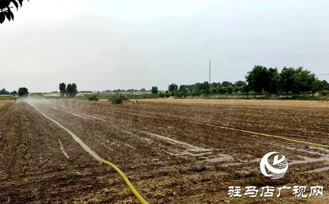泌陽縣泰山廟鎮(zhèn)：全力應(yīng)對(duì)旱情 打好抗旱保秋&ldquo;主動(dòng)仗&rdquo;