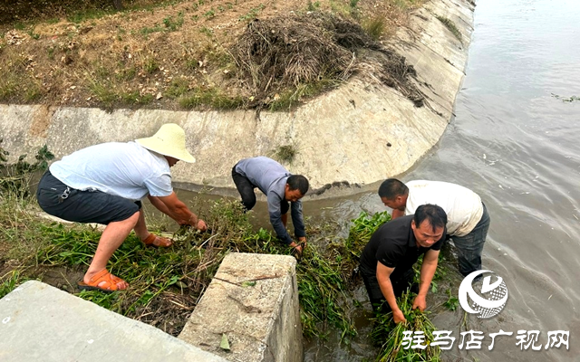 泌陽縣郭集鎮(zhèn)：全力打好抗旱保苗&ldquo;主動仗&rdquo;