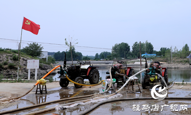 泌陽縣下碑寺鄉：黨群合力抗旱 千畝農田&ldquo;止渴&rdquo;