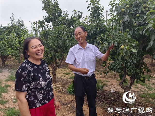 泌陽縣馬谷田鎮河南村：強化黨建引領 推進鄉村振興