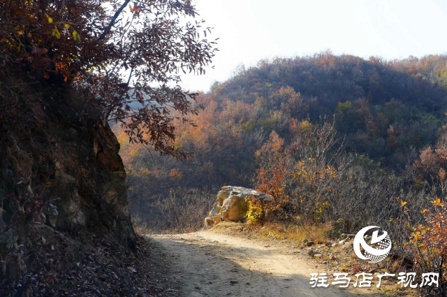 泌陽縣賈樓龍潭溝：隱匿于山水之間的自然瑰寶