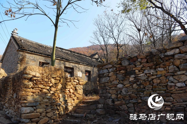 泌陽縣賈樓龍潭溝：隱匿于山水之間的自然瑰寶