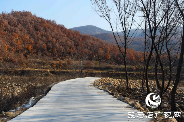 泌陽縣賈樓龍潭溝：隱匿于山水之間的自然瑰寶