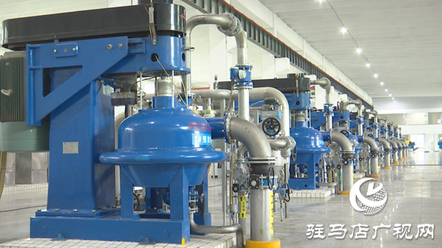 河南金玉鋒生物科技：穩健擴產能 實現&ldquo;雙過半&rdquo;