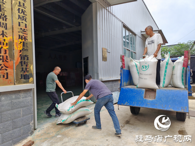 平輿縣十字路鄉十字路村：黨建聯動&ldquo;雙提升&rdquo; 強村富民促振興