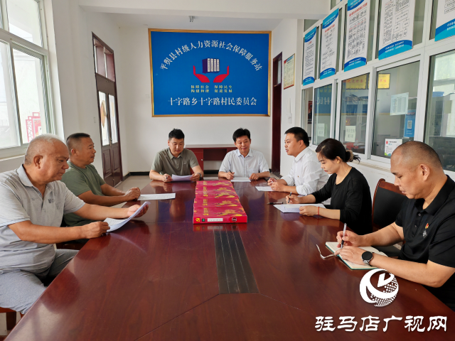 平輿縣十字路鄉十字路村：黨建聯動&ldquo;雙提升&rdquo; 強村富民促振興