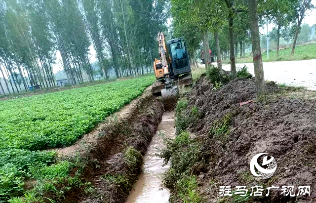 泌陽縣郭集鎮：全力做好當前暴雨防范應對工作