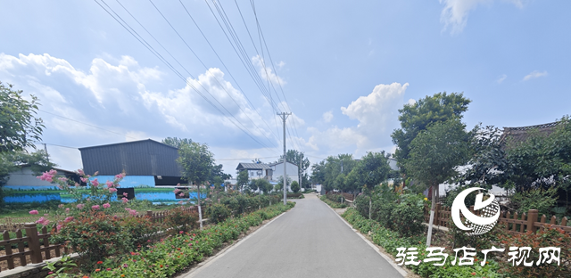 泌陽縣下碑寺鄉：花開美景添光彩 扮靚鄉村高&ldquo;顏值&rdquo;