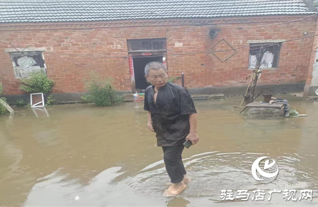 泌陽縣盤古鄉：積極排水解民憂