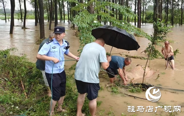 泌陽縣高邑鎮：以&ldquo;汛&rdquo;為令  打好汛期&ldquo;主動仗&rdquo;