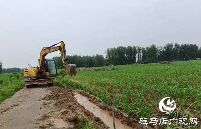 泌陽縣高邑鎮：以&ldquo;汛&rdquo;為令  打好汛期&ldquo;主動仗&rdquo;