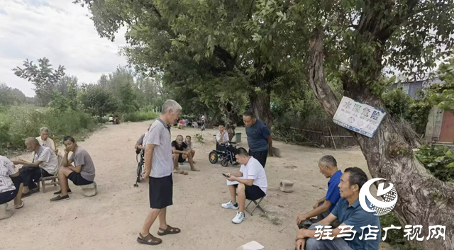 泌陽縣王店鎮：集中開展排查 確保監測幫扶到位