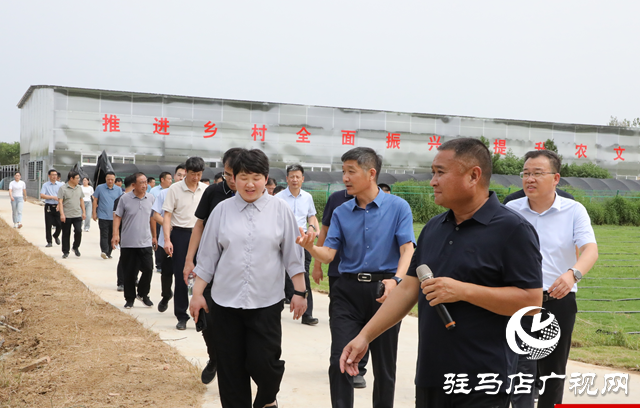 泌陽縣：觀摩文旅項目 做強文旅產業