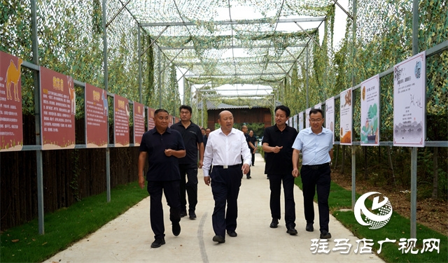 泌陽縣委副書記、縣長朱東升中秋節前督導檢查安全生產和節日商品保供等工作