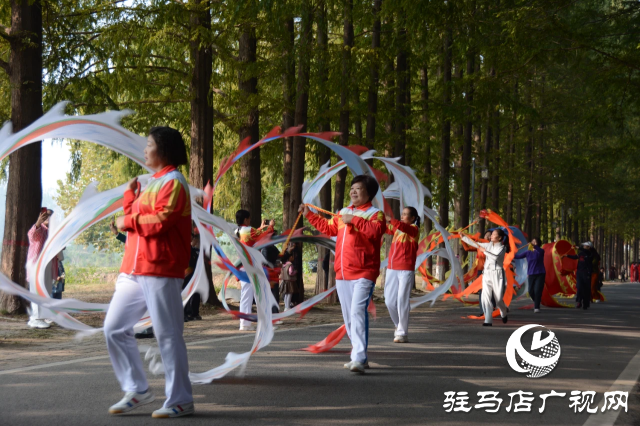 泌陽縣開展&ldquo;文藝進萬家&rdquo;進鄉村 進景區惠民展演活動