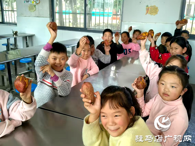 確山縣普會寺鎮:豐收地里“薯”我最棒