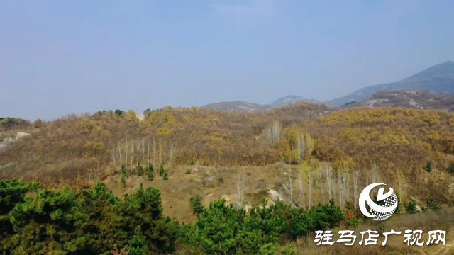 泌陽縣王店鎮奇石嶺:自然奇景中的寶藏之地