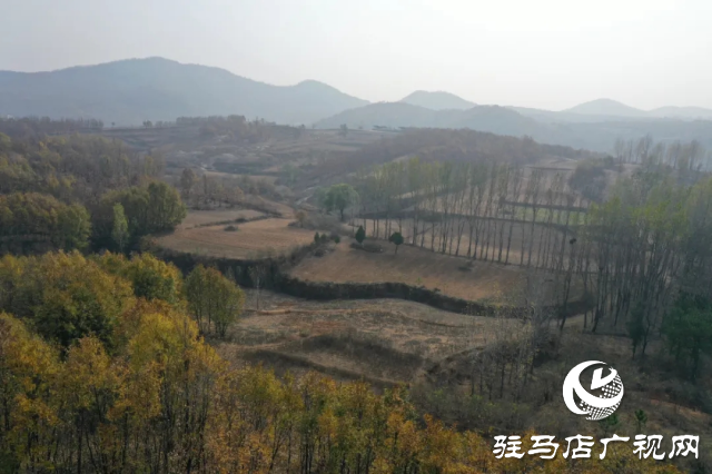 泌陽縣王店鎮奇石嶺:自然奇景中的寶藏之地