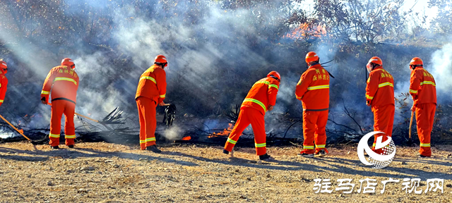 駐馬店市2024年森林火災應急救援綜合實戰演練在泌陽縣舉行