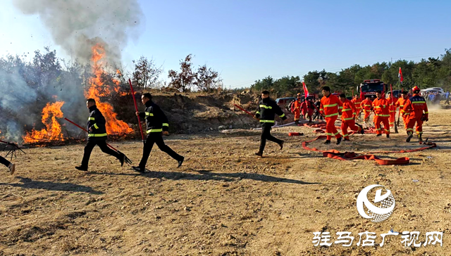 駐馬店市2024年森林火災應急救援綜合實戰演練在泌陽縣舉行