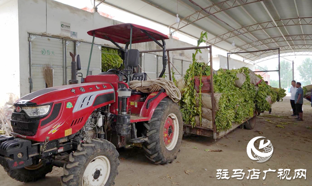 泌陽縣郭集鎮：抓實“五星”支部創建 助力鄉村振興“加速跑”