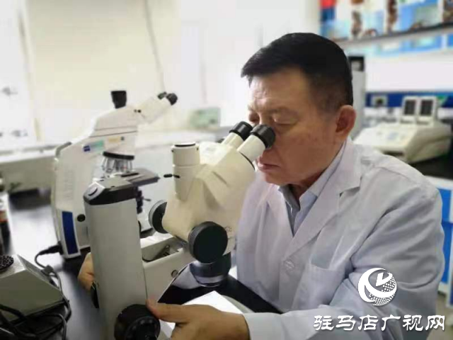 2025泌陽花菇國際產業創新大會六大看點