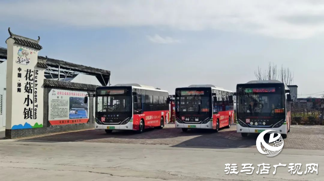 公交直達(dá)！泌陽縣花菇博物館開啟奇妙之旅