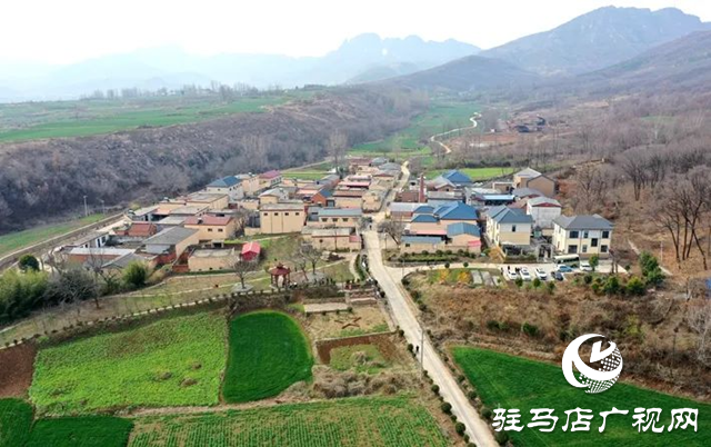 遂平縣：緊盯旅游發展新業態 為鄉村振興開辟新賽道