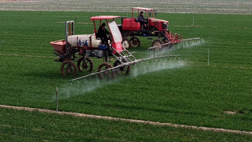 春耕一線見聞：“大國糧倉”藏著“科技密碼”