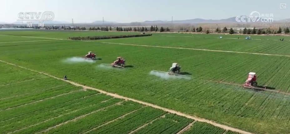 萬(wàn)象“耕”新助力小農(nóng)戶“種好地” 全產(chǎn)業(yè)鏈服務(wù)一“鍵”直達(dá)田間地頭