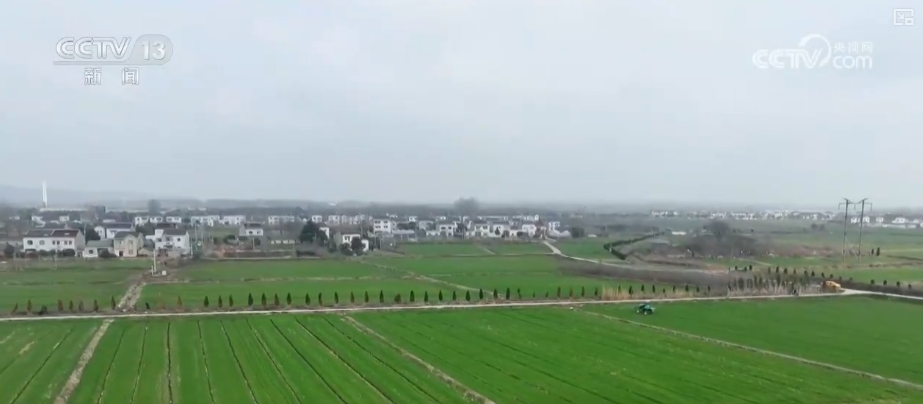 萬(wàn)象“耕”新助力小農(nóng)戶“種好地” 全產(chǎn)業(yè)鏈服務(wù)一“鍵”直達(dá)田間地頭